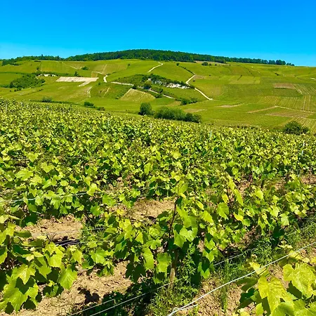 Evasion En Champagne A Ay Le Marivalent Acces Independant 3*
